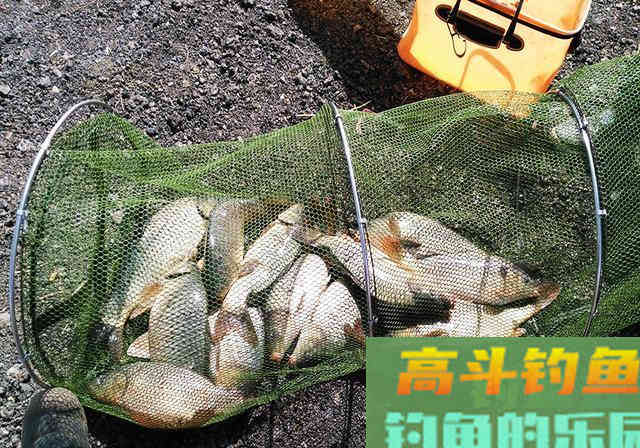 商品饵料钓鱼，为何没有宣传得那么好