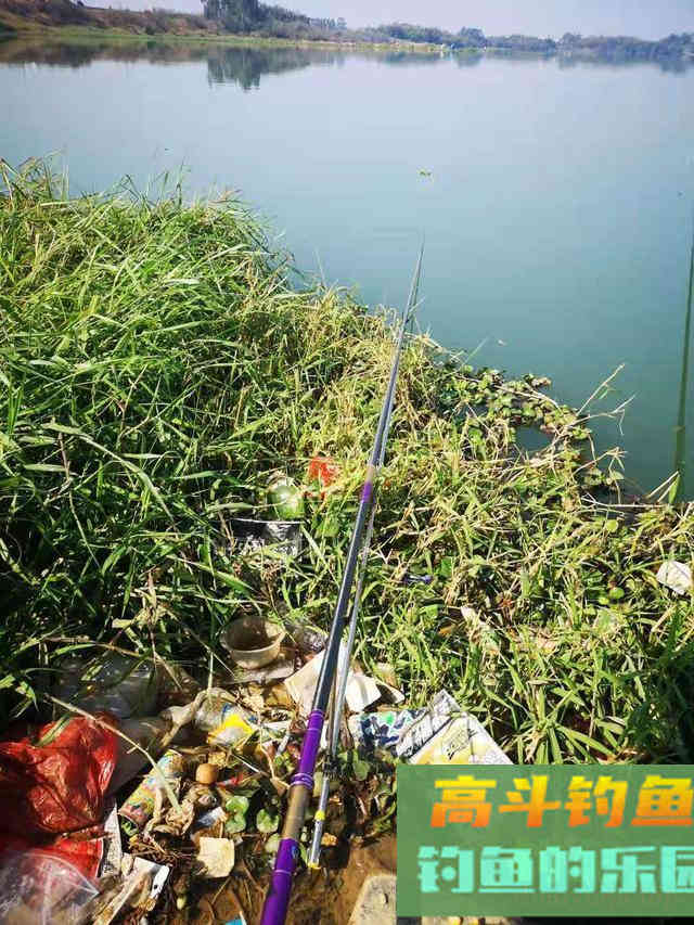野钓走水环境的应对攻略，利诱鱼可抓口成老手
