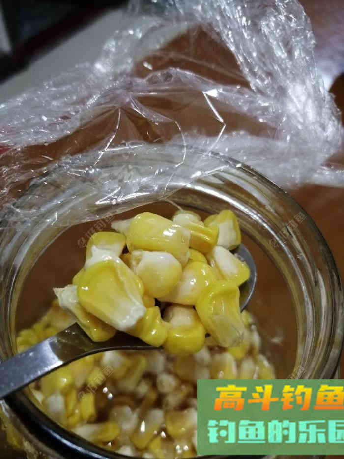 自制天然素饵（全集）钓鱼效果不错