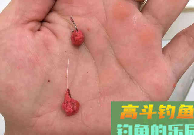 拉饵钓鱼你注意过钩上的残留吗?小细节反映大问题 拉饵钓鱼你注意过钩上的残留吗?小细节反映大问题