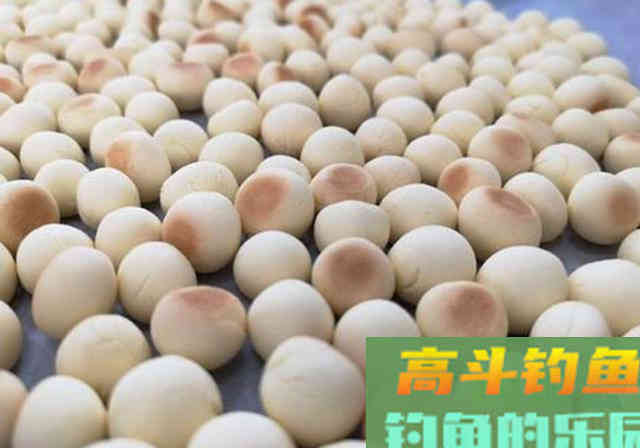 生活中的这些食物，不仅可以吃，也可以拿来做饵料添加剂