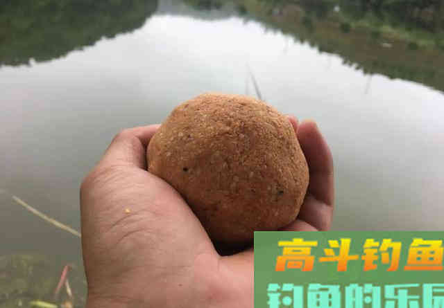 鱼偏食、停口就是小药的错？野钓者对小药误解太深