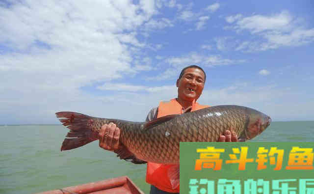 不花钱的5种钓草鱼饵料，随处可取