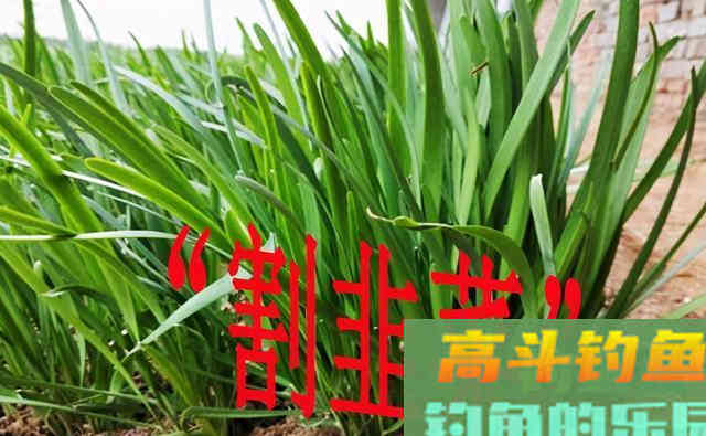 渔具越贵越好？不，认准以下几点，才不会被割韭菜