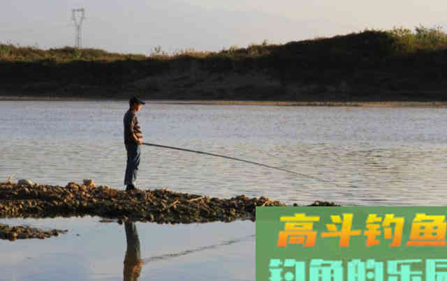 浮漂有动作后，要在什么时间提竿呢