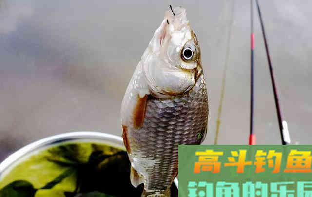 如何防止子线缠绕