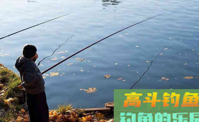 秋冬用蚯蚓钓鱼的技巧方法