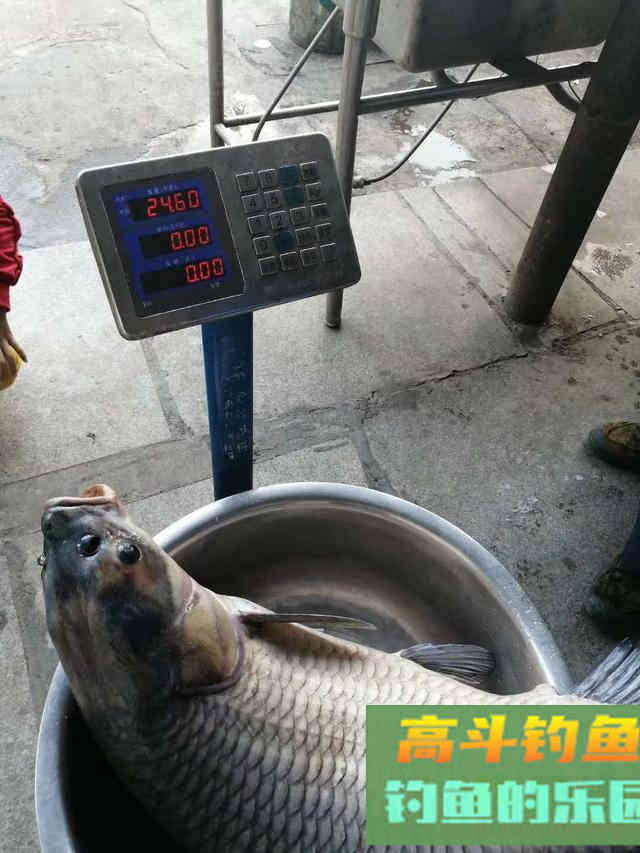 钓大鱼哪个因素最重要