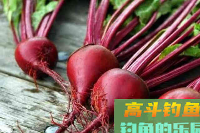 别再费钱买小药了，换用4种添加剂，鲫鲤鱼轮番上钩