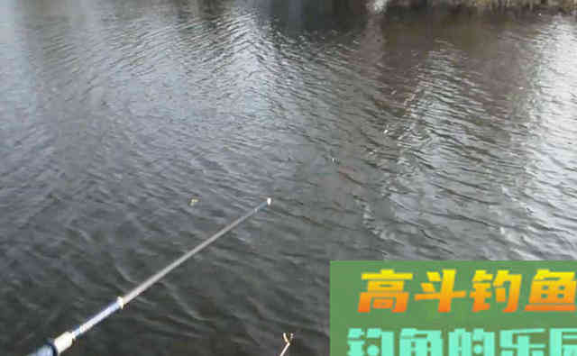 影响渔获的关键，不在于调钓和窝料，而是它们