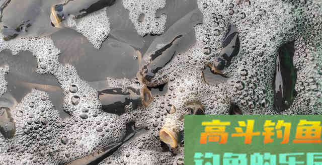 小药多放真会死窝吗？还要看用的哪一种