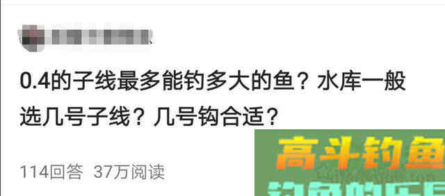 0.4的子线能钓多大的鱼？别把运气当实力，遇到鲤鱼切线没商量