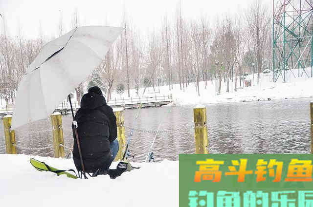 冬季用此饵，也能钓出红虫的感觉