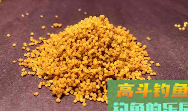 找好用的酒米难？从2款自制药米，发现3种用法能上鱼更多