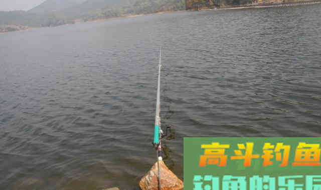 窝里没有鱼，钓技再高也白搭，教你如何搭配窝料