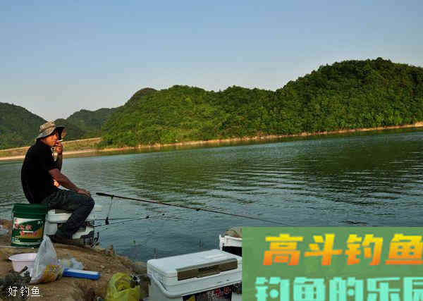 夏钓水库，老鬼九一八和红薯玉米粒搭配有奇效