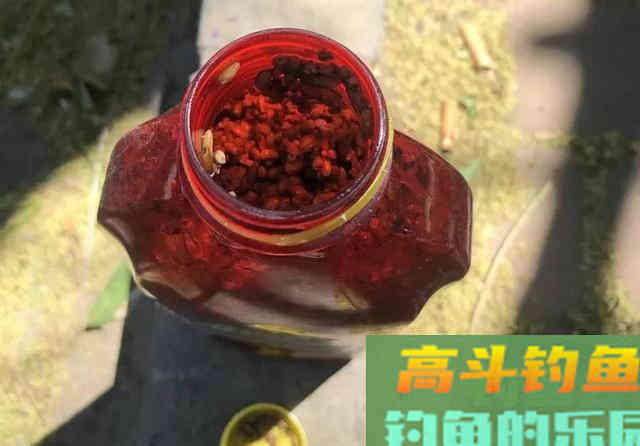 关于酒米的4个谣言，很多钓鱼人都被骗过