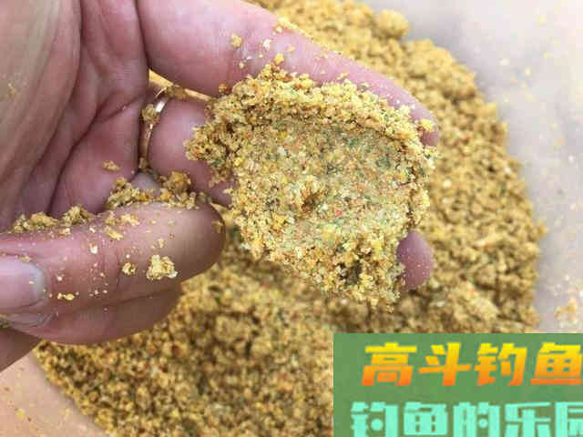 菜籽饼打窝没鱼口？加上这些，钓鲫、钓鲤都可以