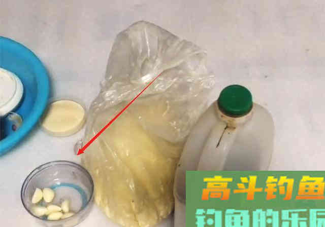 大蒜钓鲢鳙，额外加上4款料，一钓一个准