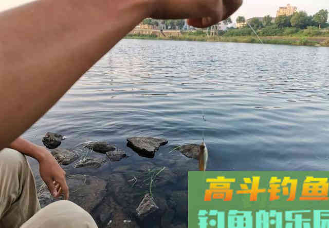 新手学钓鱼，应该要知道的5个真相
