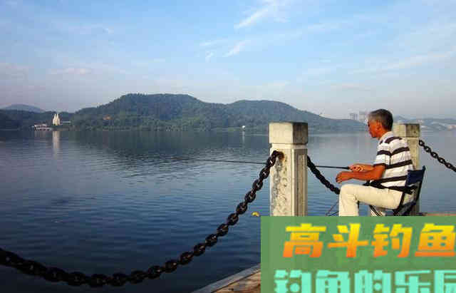 浮漂上顶，提竿却没有鱼，问题出在这里