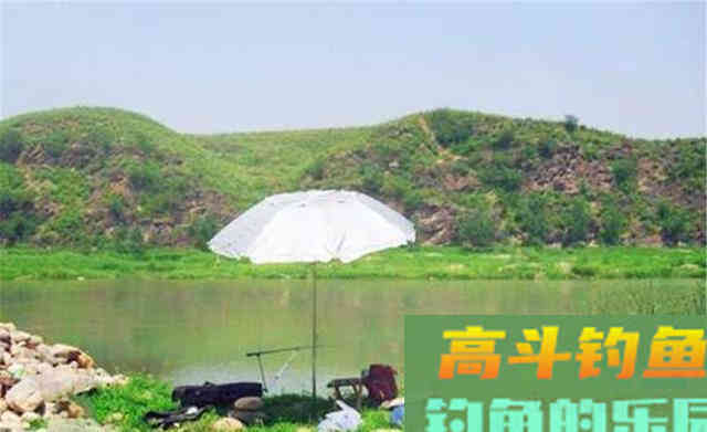 你为何经常钓不到鱼？不用纠结太多原因，无非是天时地利而已