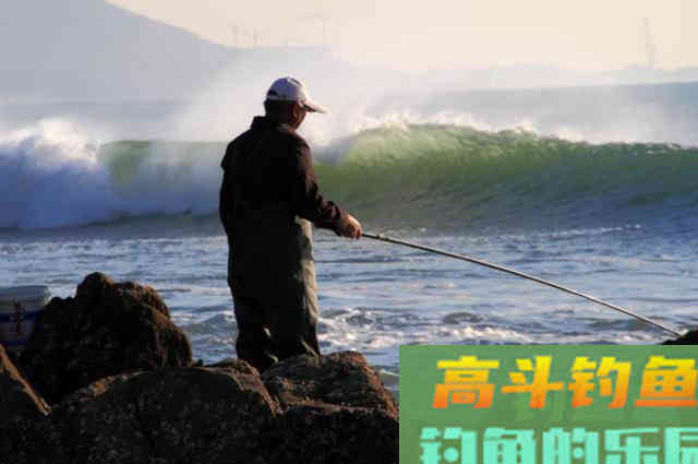 窝里明明有鱼，怎么就是钓不上来？