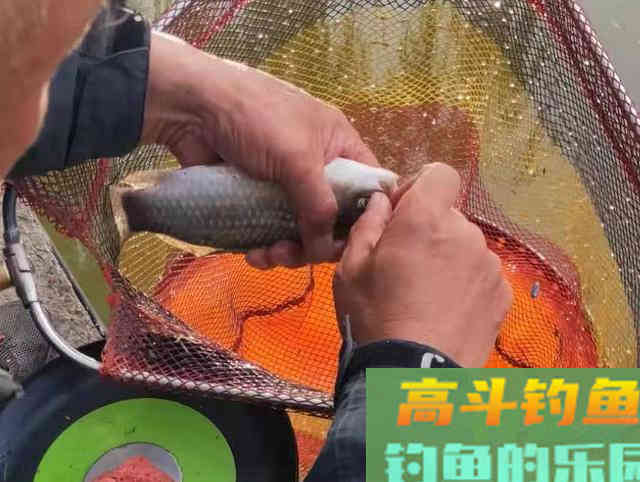 久钓无口，换别人的饵料就上鱼！是什么原因