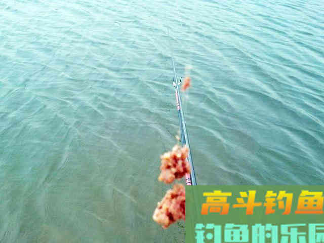 盘点钓鱼当中，让新手钓友比较头疼的问题