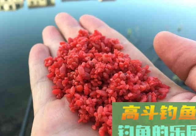 钓两条就停口？浅水钓鱼最怕炸窝，预防比解决更重要
