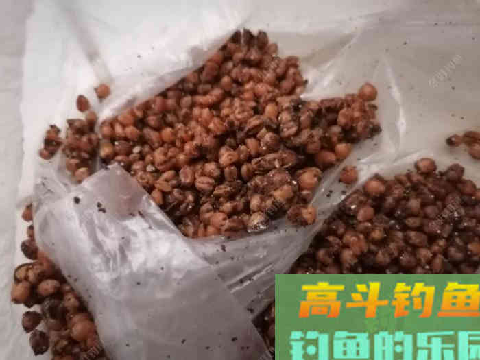 野钓走水该如何打窝，走水河打窝技巧分享
