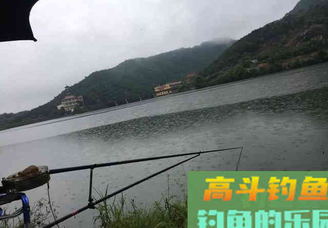 大师们不愿多提的5个钓鱼常识，却能帮新手少走许多弯路