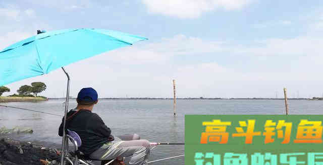 同样都是钓鱼，为何别人比你钓得多，秘密在这里
