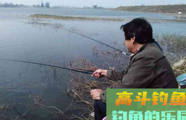 打一个窝，还是多个窝？这里给你讲明白