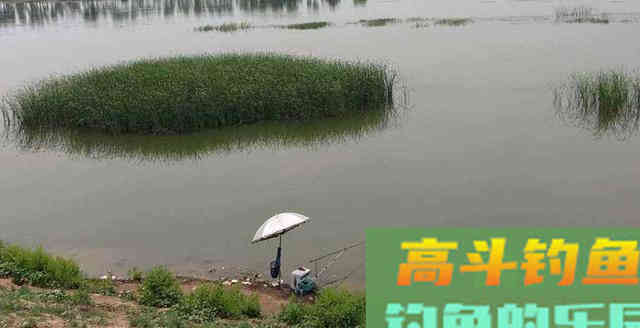 钓鱼时，肉眼能看到鱼群，但它们为什么就不上钩