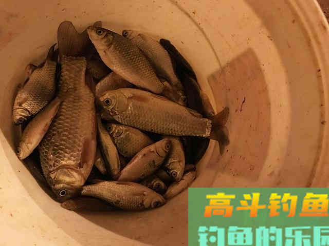 盘点钓鱼当中，让新手钓友比较头疼的问题