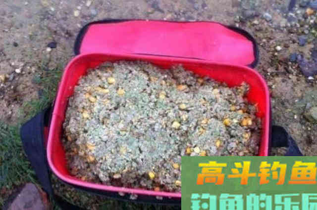 春钓打窝很多人第一步就做错了