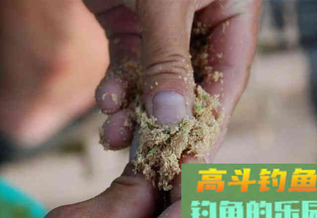红虫颗粒这么用，诱鱼效果比红虫的效果还要好一些