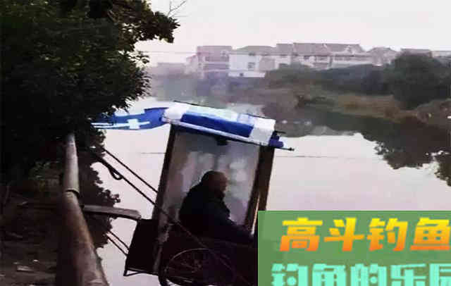 垂钓轻口鱼，掌握导致诱因，应对起来才容易