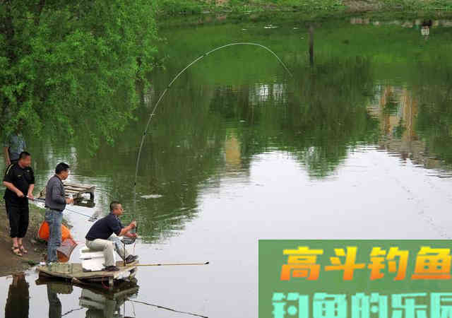 看到标相后的第一个动作常常决定着鱼能否成功上岸