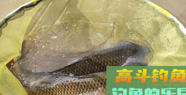 要万分小心让你钓深水的大师，他们钓浅水爆护的时候从来不和你说