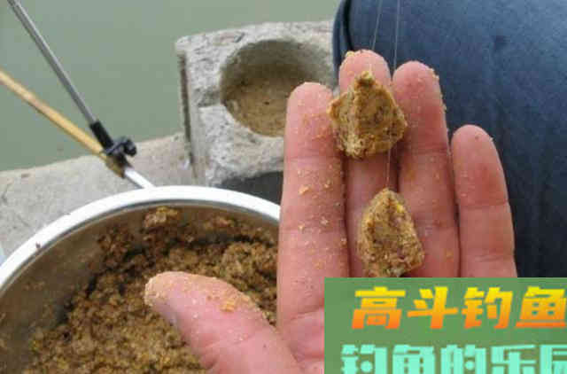 秋天一降温，我就只用这特效鲤鱼饵