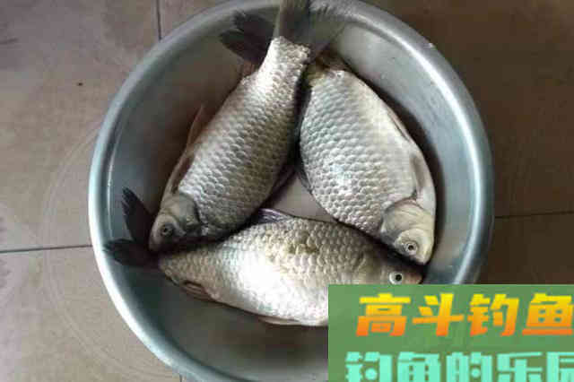 泡沫太轻，怎么比商品饵好？老司机直言：知道这用法的人少之又少