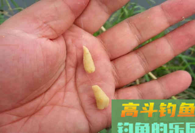 浅谈双钩的饵料搭配，科学搭配可提高钓鱼效率