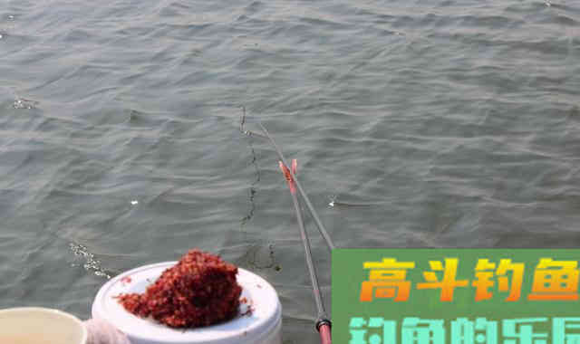 上鱼就好，哪管什么灵什么钝