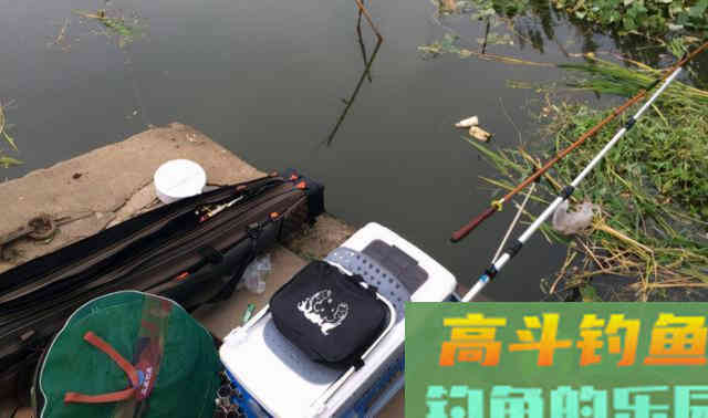 子线粗了会挡口？想多钓鱼，这样选用子线才是王道