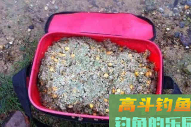 钓鲤鱼只要用好这打窝诀窍，根本不愁鱼获不够好
