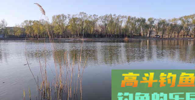要万分小心让你钓深水的大师，他们钓浅水爆护的时候从来不和你说