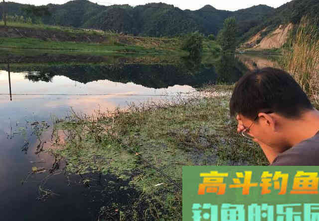 同样的装备相邻的钓位，为什么别人连杆上鱼