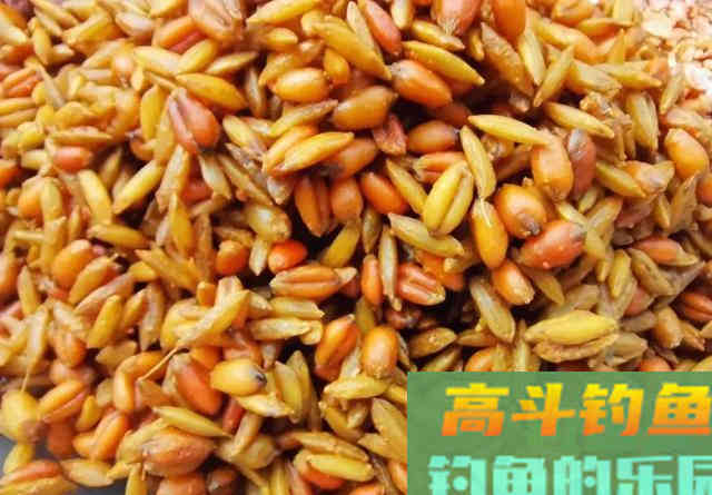 用了十年的窝料配方！老钓友无私分享